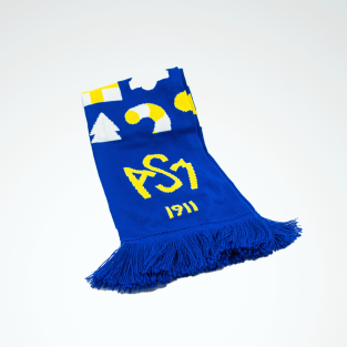 Echarpe de Noël 2025